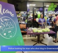 News 12 Highlights Brookdale’s First NICU Graduate Reunion in 20 Years